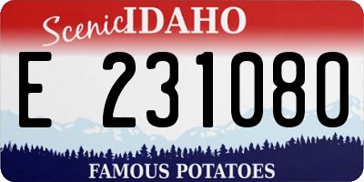 ID license plate E231080