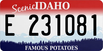 ID license plate E231081