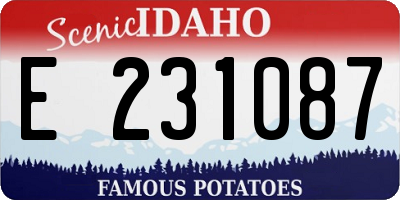 ID license plate E231087