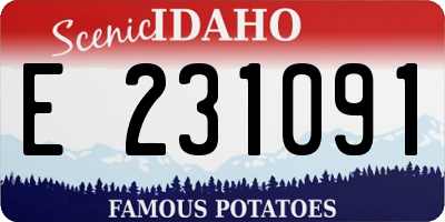 ID license plate E231091