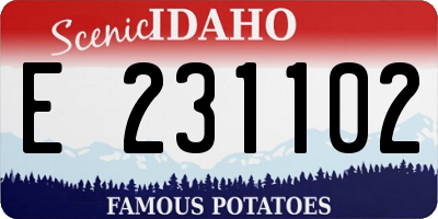 ID license plate E231102