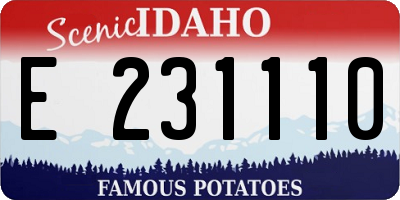 ID license plate E231110