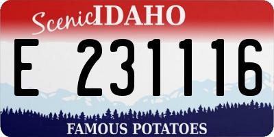 ID license plate E231116