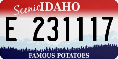 ID license plate E231117
