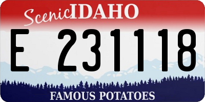 ID license plate E231118