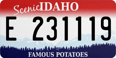ID license plate E231119