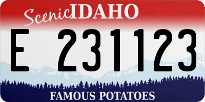ID license plate E231123