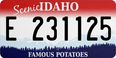 ID license plate E231125