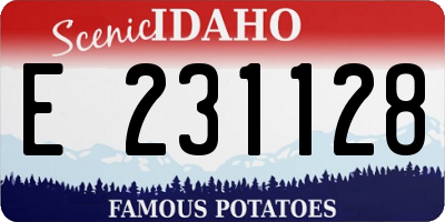 ID license plate E231128
