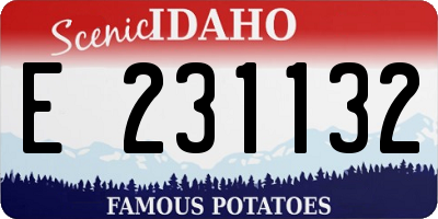ID license plate E231132