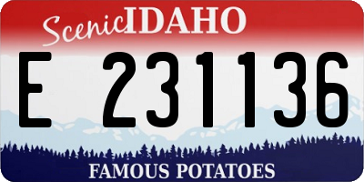 ID license plate E231136