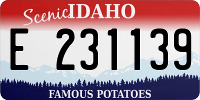 ID license plate E231139