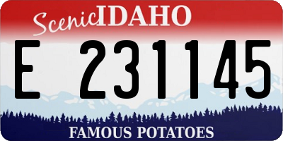 ID license plate E231145