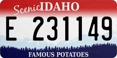 ID license plate E231149