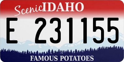 ID license plate E231155