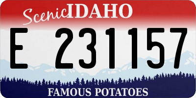 ID license plate E231157