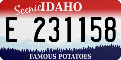 ID license plate E231158