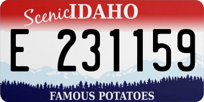 ID license plate E231159