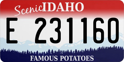 ID license plate E231160