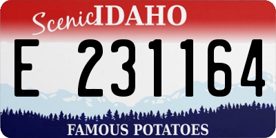 ID license plate E231164