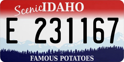 ID license plate E231167