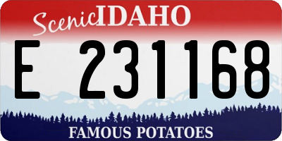 ID license plate E231168