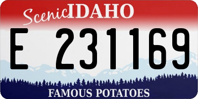 ID license plate E231169