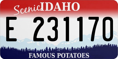 ID license plate E231170