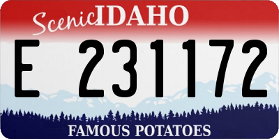 ID license plate E231172