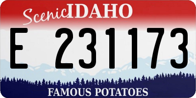 ID license plate E231173