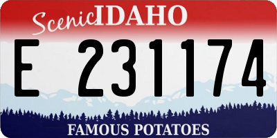 ID license plate E231174