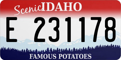 ID license plate E231178