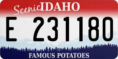 ID license plate E231180