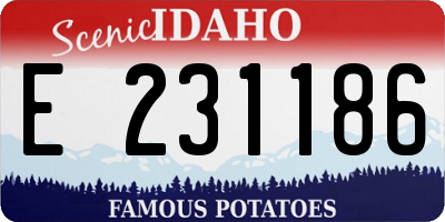 ID license plate E231186