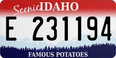 ID license plate E231194