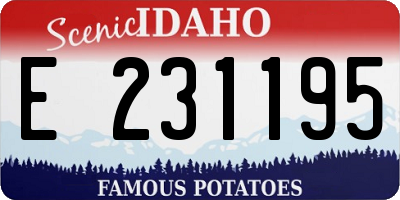 ID license plate E231195