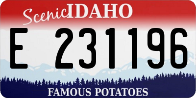 ID license plate E231196