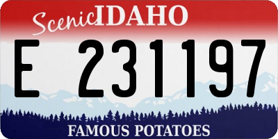 ID license plate E231197