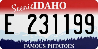 ID license plate E231199