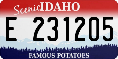 ID license plate E231205