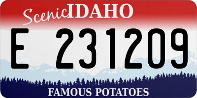 ID license plate E231209