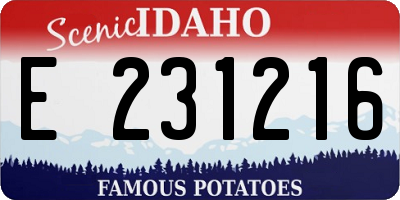 ID license plate E231216