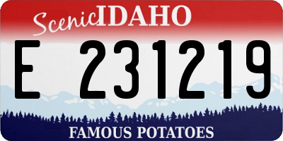 ID license plate E231219
