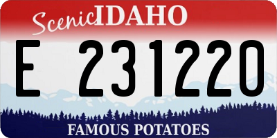 ID license plate E231220