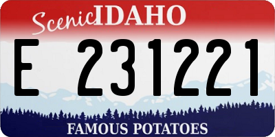 ID license plate E231221