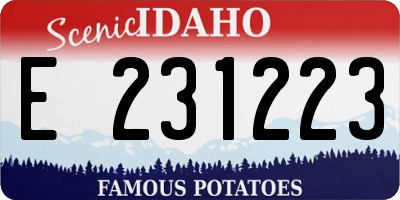 ID license plate E231223