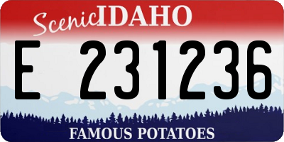 ID license plate E231236