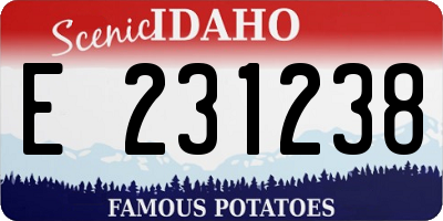ID license plate E231238