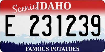 ID license plate E231239