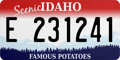 ID license plate E231241